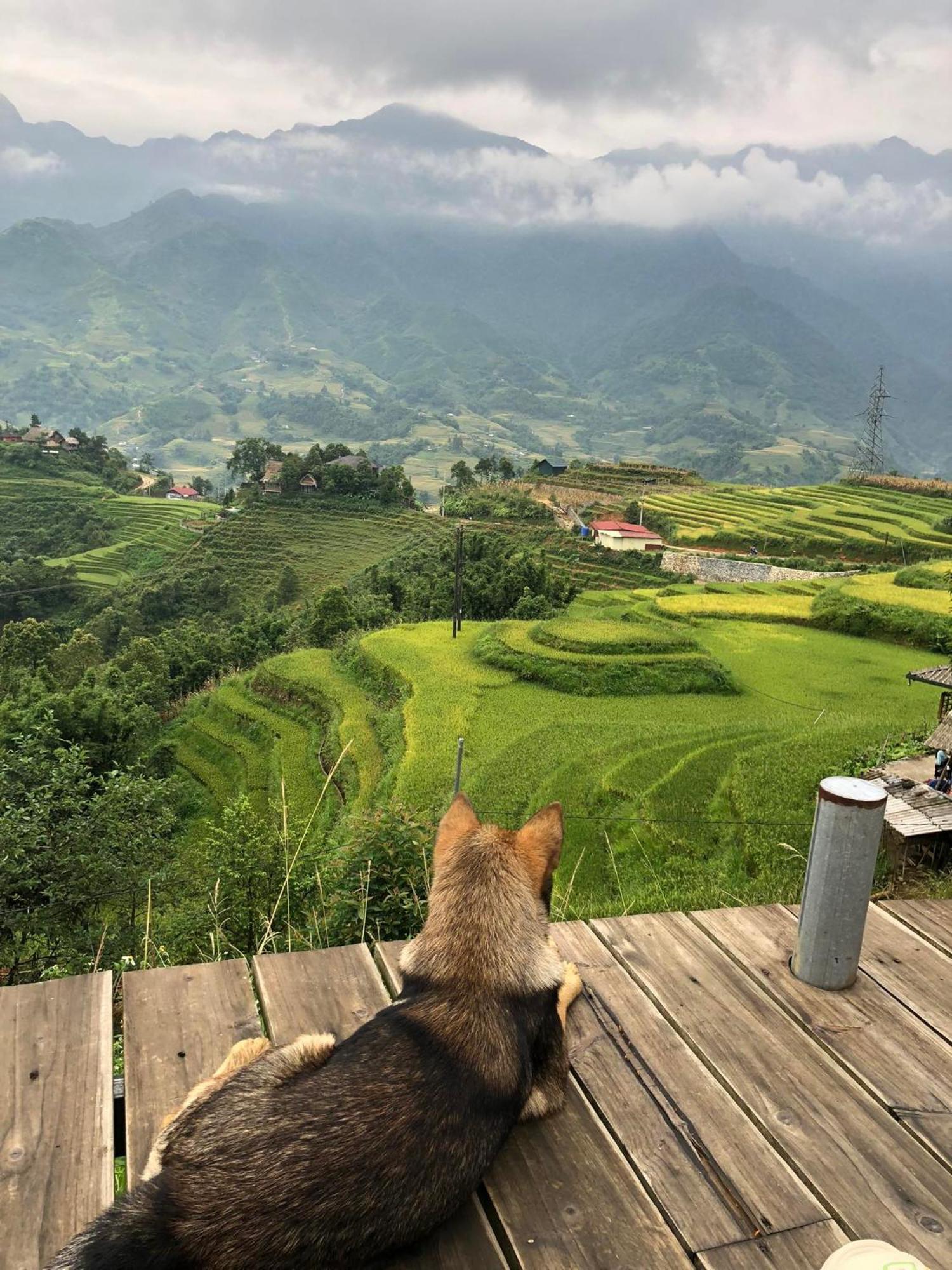 Sapa Rosie Stilt House Apartment Ngoại thất bức ảnh